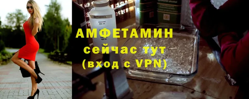 купить наркотик  Каменка  Amphetamine VHQ 