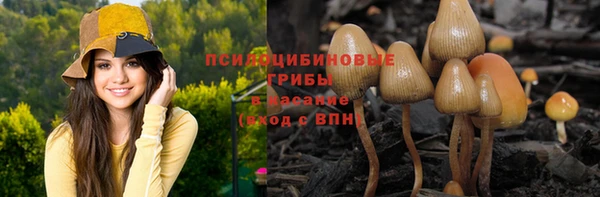 мескалин Болхов