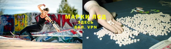 стаф Болотное