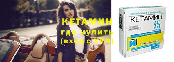 стаф Болотное