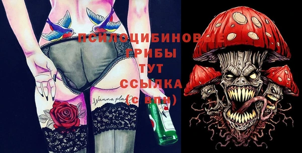 стаф Болотное