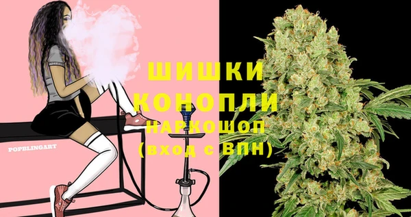 дурь Болохово