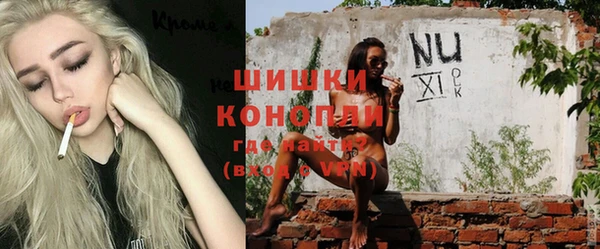 стаф Болотное