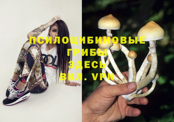 дурь Болохово