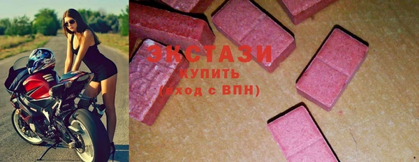 стаф Болотное