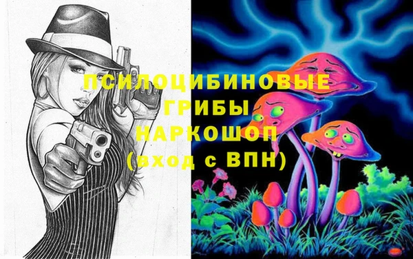дурь Болохово