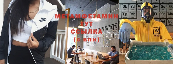 стаф Болотное