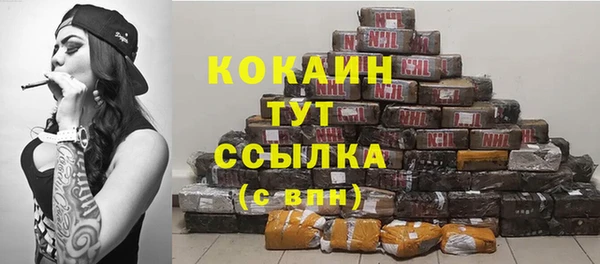 стаф Болотное