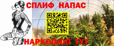 круглые Бийск