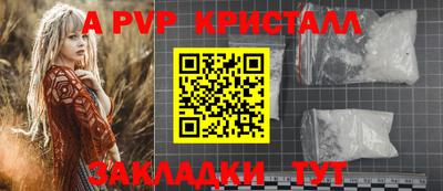 твердый Гатчина