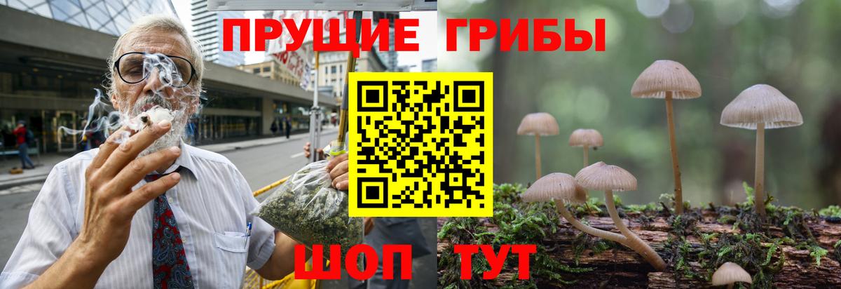 Псилоцибиновые грибы мухоморы Каменка