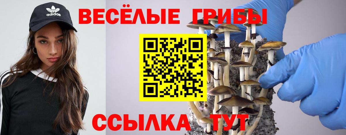 Псилоцибиновые грибы мицелий  Вход с VPN  Каменка  Псилоцибиновые грибы Cubensis 