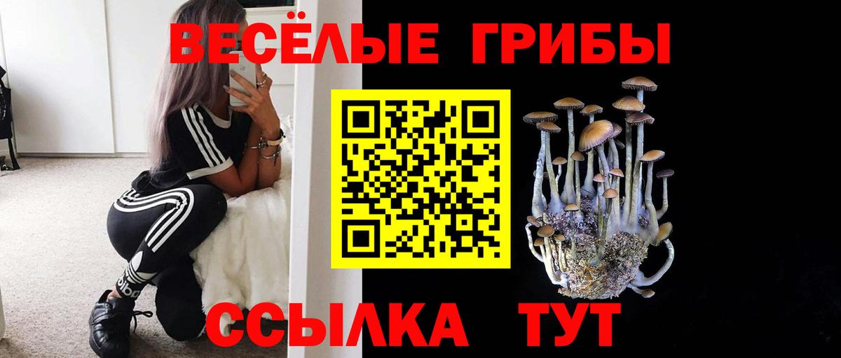 Псилоцибиновые грибы Psilocybine cubensis Каменка