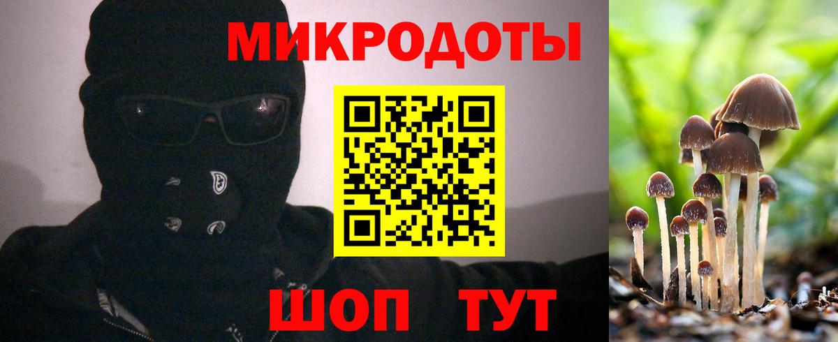 Псилоцибиновые грибы Cubensis  Каменка 